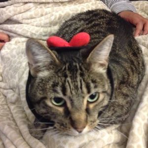 Meet your Posher, Mark